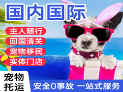 沧源佤山航空托运国际宠物托运 【国